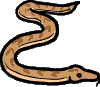 käärme